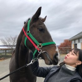 〈11９〉トゥザグローリーが運命の馬！？　アイドルから転身した津田麻莉奈さん（４）