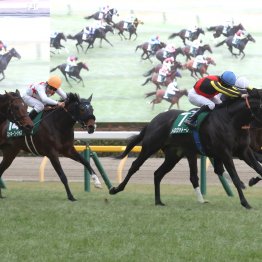 東京新聞杯のラスト２Ｆは極めて優秀