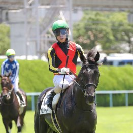 【共同通信杯】ベレシート魅力たっぷり