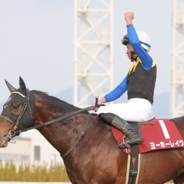 【京都記念】ヨーホーレイク昨年に続いて今年も