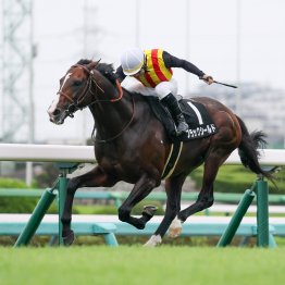 【田中の土曜競馬コラム・洛陽Ｓ】