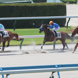 【播磨の土曜競馬コラム・伊万里特別】