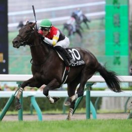 【勝羽の土曜競馬コラム・飛鳥Ｓ】