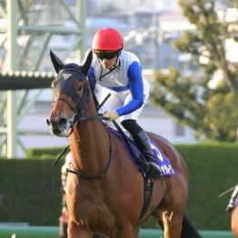 【武田の土曜競馬コラム・クイーンＣ】