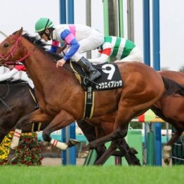 【橘の土曜競馬コラム・洛陽Ｓ】