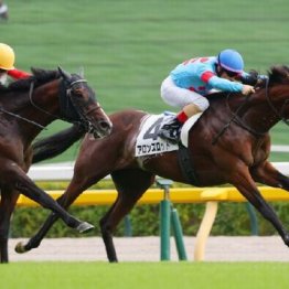 【東京本紙・外山の土曜東京９Ｒ】