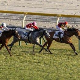 【東京本紙・外山の土曜東京12Ｒ】