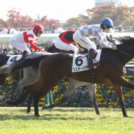 【東京本紙・外山のクイーンＣ】