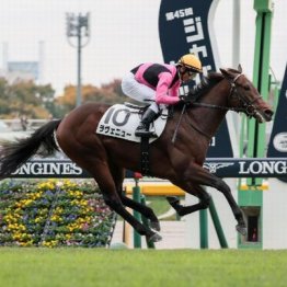 【田中の土曜競馬コラム・京都記念】