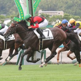 【小倉本紙・勝羽の日曜小倉11Ｒ】