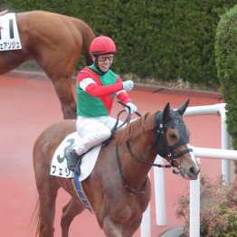 【レスキュー隊の日曜競馬コラム・京都12Ｒ】