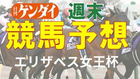 第46回エリザベス女王杯（11/14 ・阪神11レース・GⅠ）