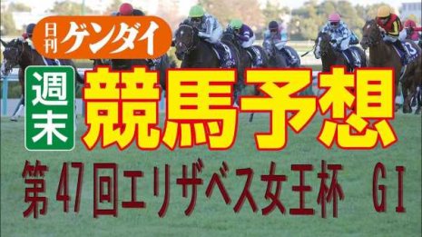 第47回エリザベス女王杯（11/13 ・阪神11レース・GⅠ）