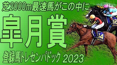 2023  皐月賞（GⅠ）出走馬トレセンパドック