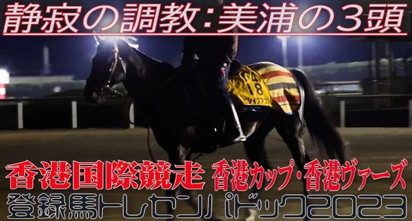 香港国際競走(香港カップ・香港ヴァーズ)関東馬トレセンパドック 日刊ゲンダイ競馬